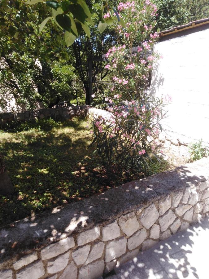 Apartman Mimi Klenovica Bagian luar foto