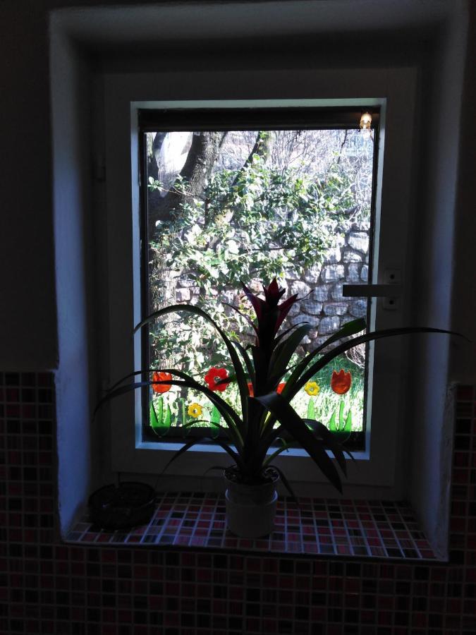 Apartman Mimi Klenovica Bagian luar foto
